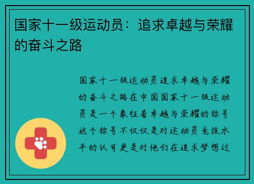 国家十一级运动员：追求卓越与荣耀的奋斗之路